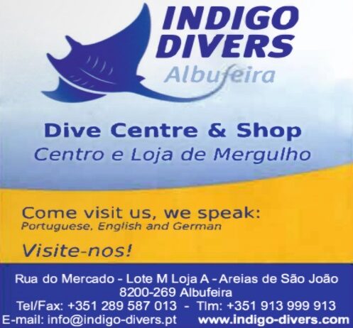 Roteiros-de-Portugal-Havana-Indigo-Divers